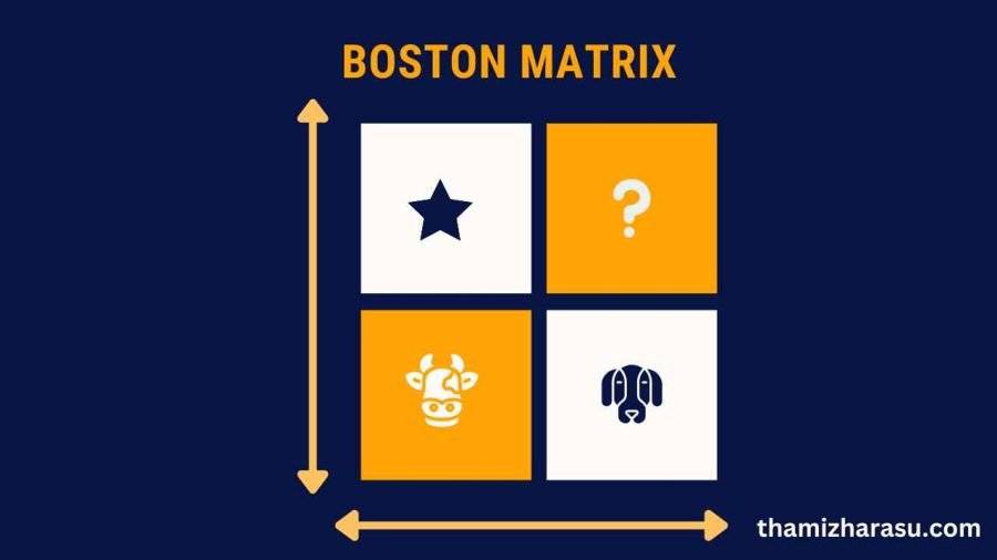 boston-matrix-business-coach-business-consultant